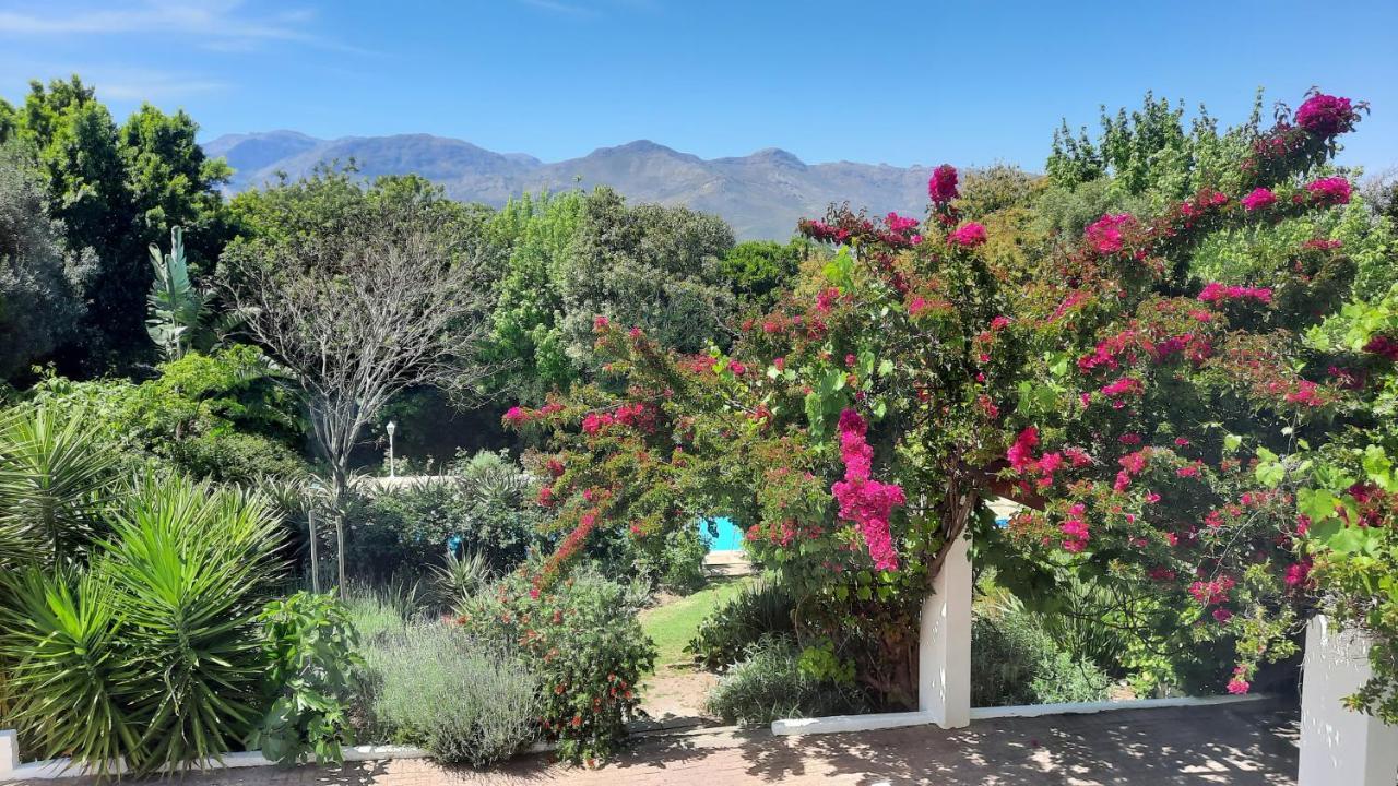 Alba House Guest House Paarl Exteriör bild