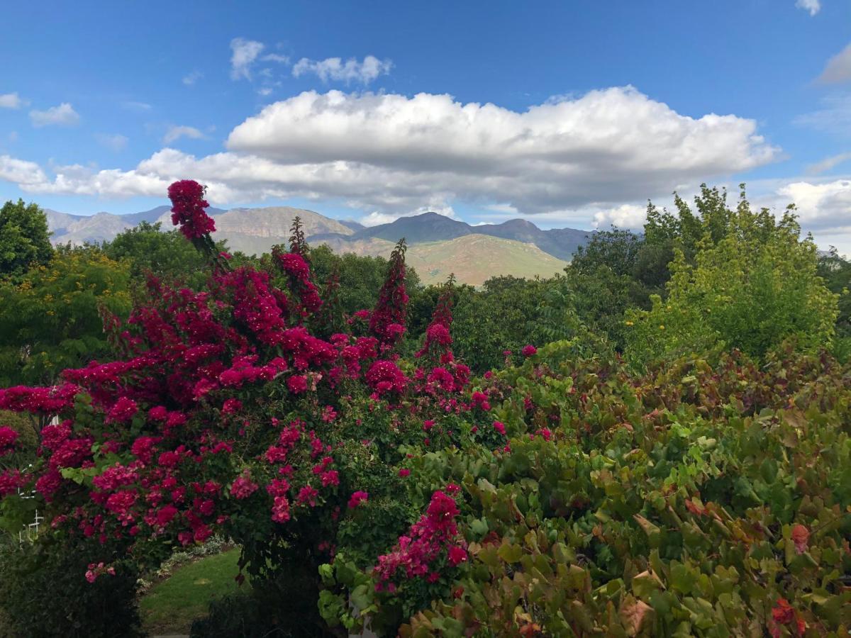 Alba House Guest House Paarl Exteriör bild